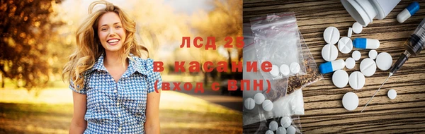 шишки Алзамай