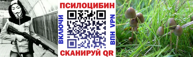 Галлюциногенные грибы прущие грибы  blacksprut tor  Касимов 